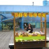 ric_plac_005.jpg