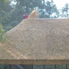 skansen001.jpg