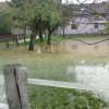 dsc03451_000.jpg