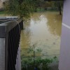 dsc03460_000.jpg