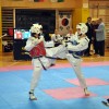 ivancna_005.jpg