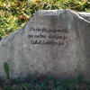 veterani_021.jpg