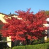 img_8374_000.jpg