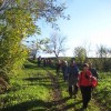 img_8373_000.jpg