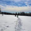 12_10_10_rogla4011_000.jpg