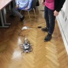 zabavna_robotika_8.jpg