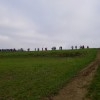 majcen_005.jpg