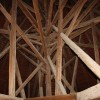 img_0339_000.jpg