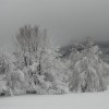 gorjanci_013.jpg