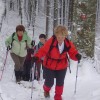 gorjanci_019.jpg