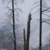 gorjanci_029.jpg