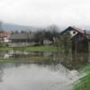 stara_lipa1.jpg