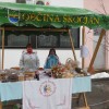 g_sejem_025.jpg