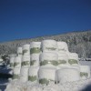 susice_029.jpg