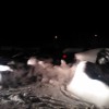 wp_000841.jpg