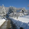 susice_025.jpg
