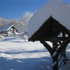 susice_014.jpg
