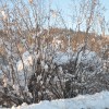 zima9_12_12_016.jpg
