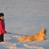 sandra_nik9_12_12_056.jpg