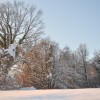 zima9_12_12_022.jpg