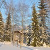 zima9_12_12_002.jpg