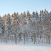 zima9_12_12_024.jpg