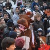 dsc_0075.jpg