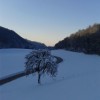 gremo_ven_005.jpg