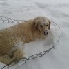 2012_12_08_09_12_40.jpg