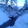 gremo_ven_006.jpg
