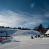 gace_bela_001.jpg
