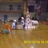 ringa_raja_026.jpg
