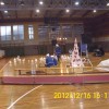 ringa_raja_008.jpg