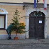 stavka00011.jpg