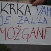 stavka00008.jpg
