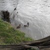 2012_12_19_12_39_05.jpg