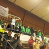 szolnoki_krka_006.jpg