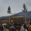 konji00096.jpg