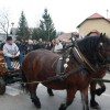 kapele_konji_2012__24_.jpg