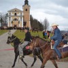 konji00117.jpg