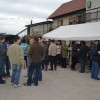 konji00188.jpg