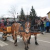 kapele_konji_2012__17_.jpg