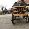 kapele_konji_2012__48_.jpg