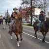 konji00047.jpg