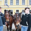 kapele_konji_2012__32_.jpg