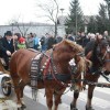 kapele_konji_2012__22_.jpg