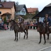 konji00114.jpg