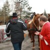 kapele_konji_2012__46_.jpg