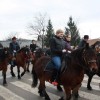 kapele_konji_2012__7_.jpg