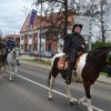 konji00043.jpg